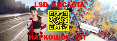 прущие грибы Краснодар