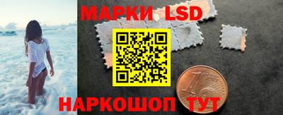 прущие грибы Краснодар