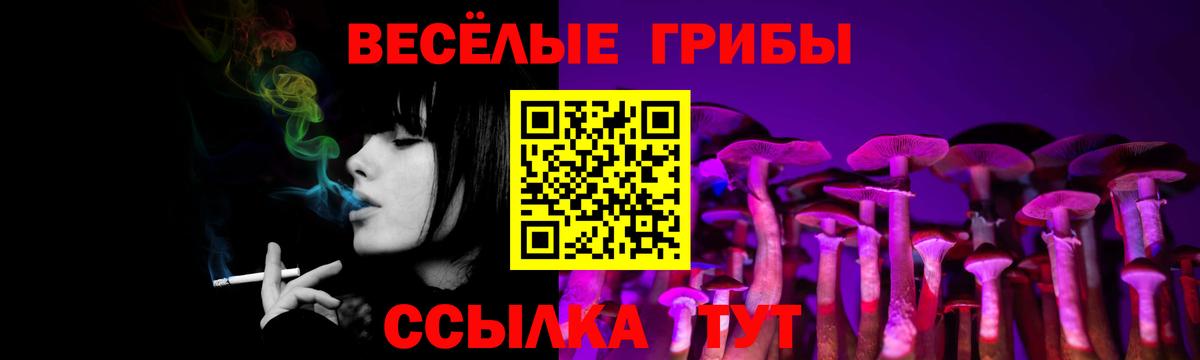 Галлюциногенные грибы Psilocybe Камышин