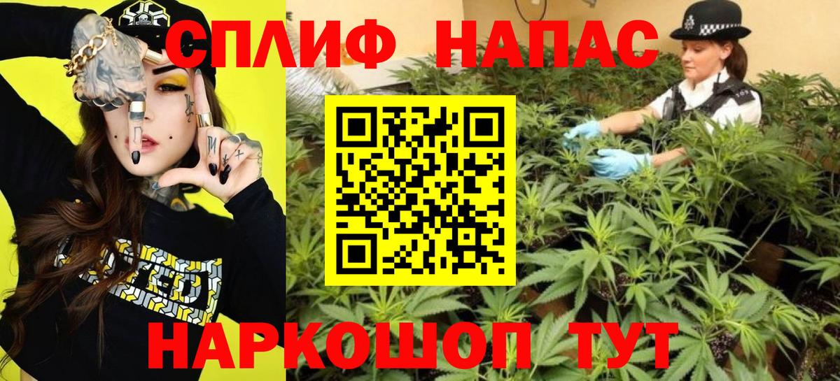 Шишки марихуана Ganja  Каннабис планчик  Камышин  Вход с VPN  Бошки Шишки VHQ 